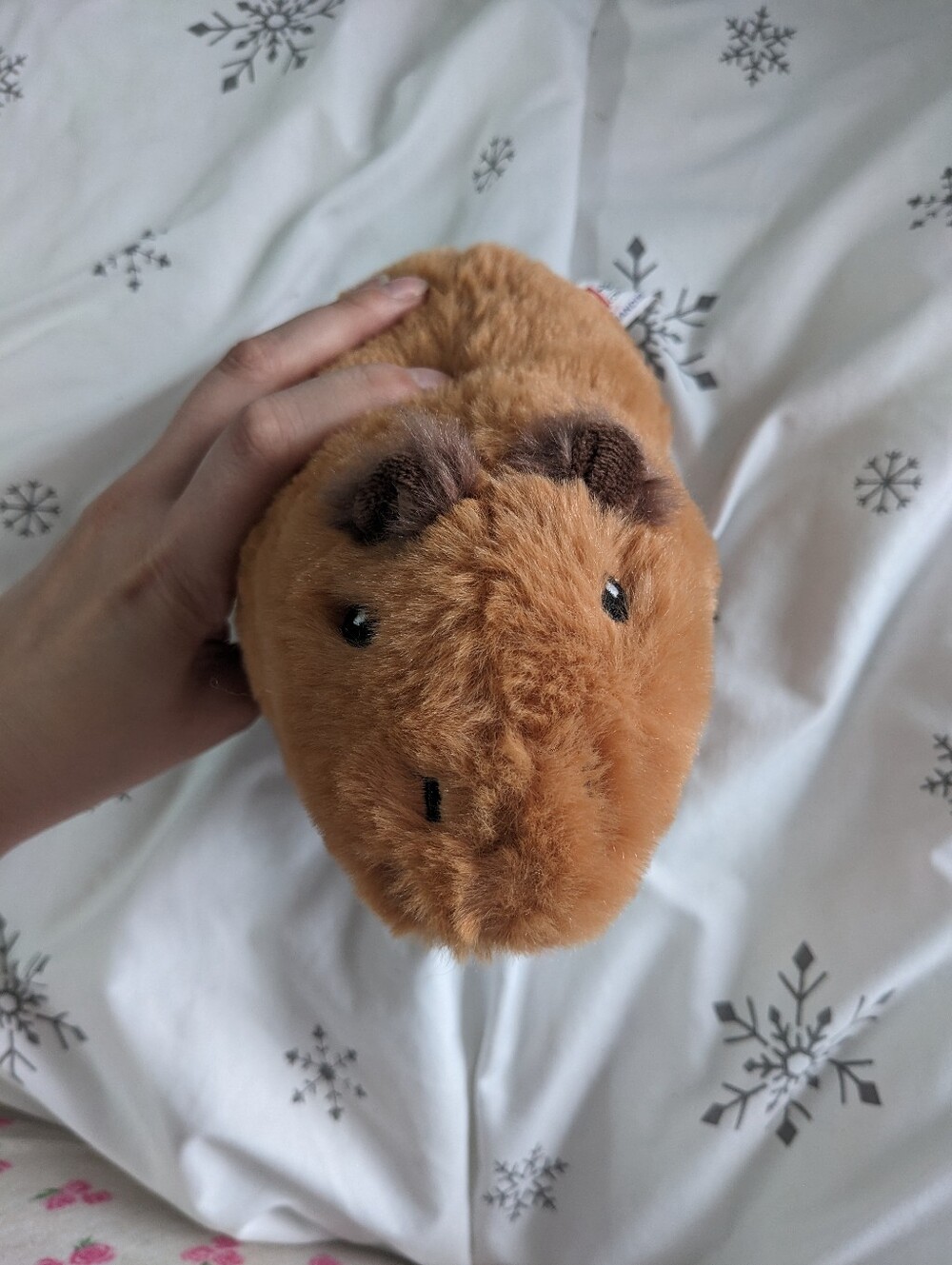 Small Plush Capybara Stuffed Animal Toy